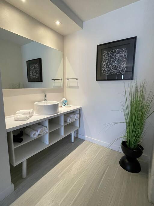 Newly Room In Cozy Hotel With Super Location To The Parks Kissimmee Zewnętrze zdjęcie